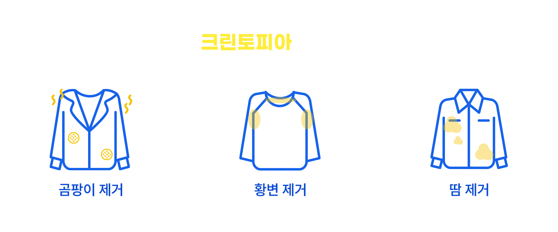 크린토피아 코인워시 서산석남점